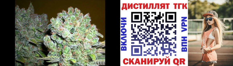 ТГК Wax darknet официальный сайт Волгодонск как найти закладки